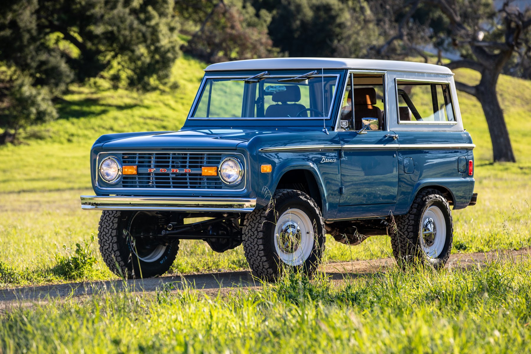 Arctic Blue Bronco