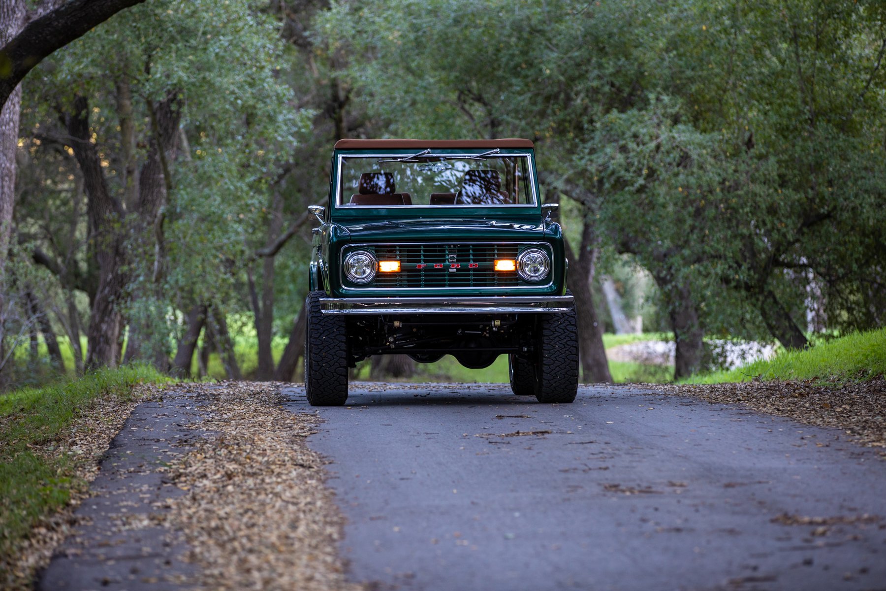 Dr. Green Bronco