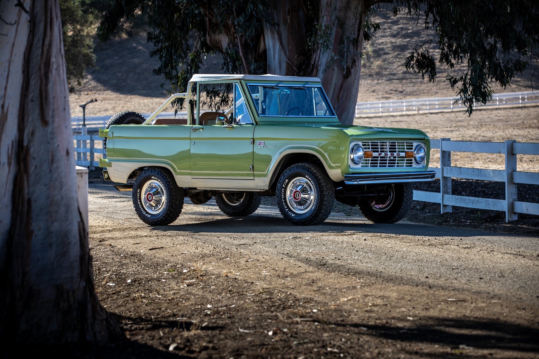 Magnifico Green Bronco