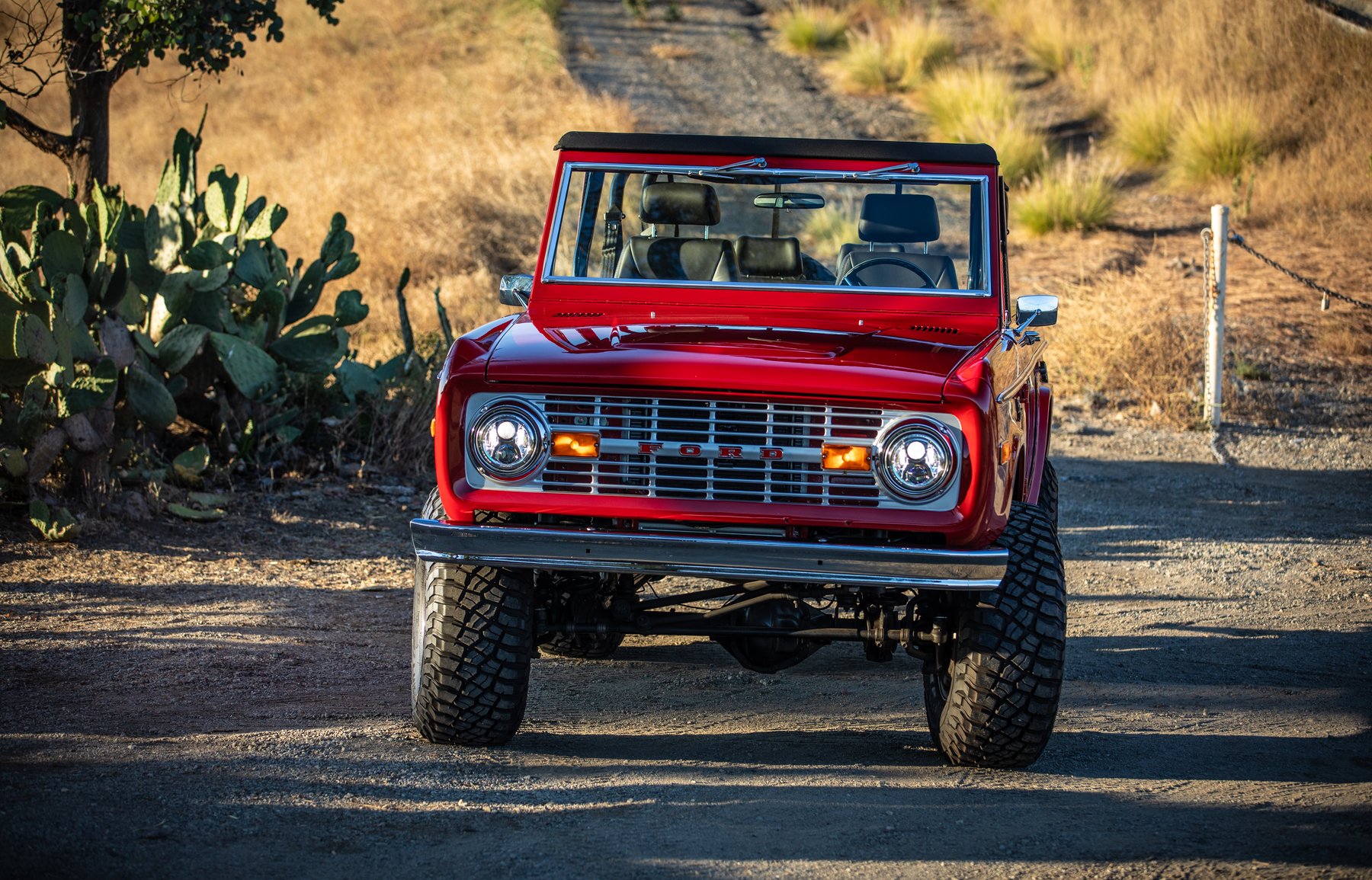 Crimson Red Bronco